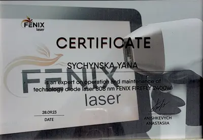 Expert in the 808 nm FENIX FIREFLY 2400 W, FENIX laser